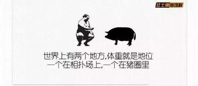 娱乐吃瓜文案图片搞笑版